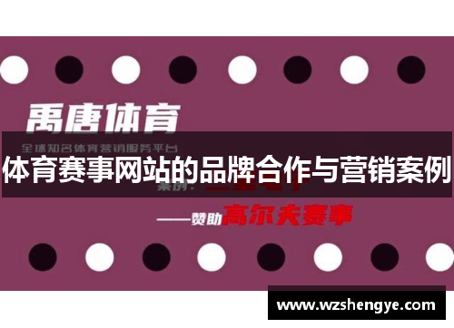 体育赛事网站的品牌合作与营销案例
