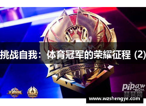 挑战自我：体育冠军的荣耀征程 (2)