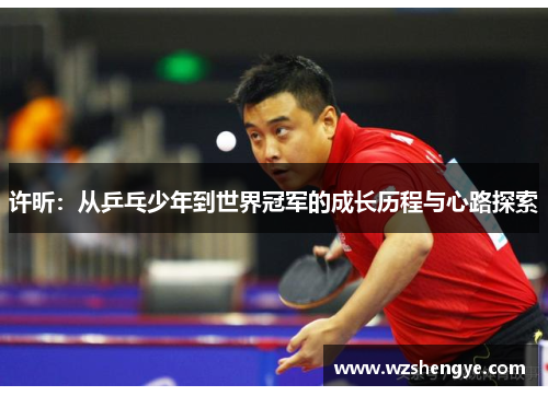 许昕：从乒乓少年到世界冠军的成长历程与心路探索