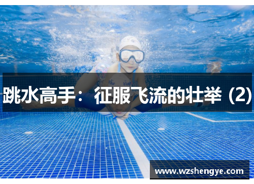 跳水高手：征服飞流的壮举 (2)
