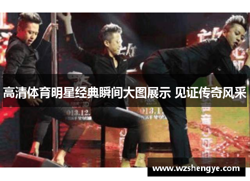 高清体育明星经典瞬间大图展示 见证传奇风采
